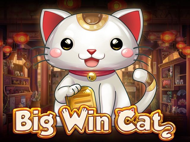 3BET Big Win Cat