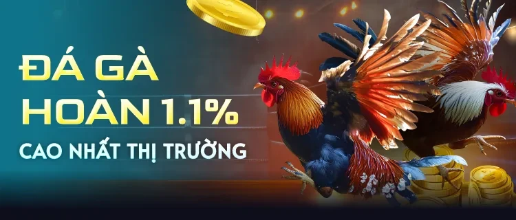 3BET Hoàn trả đá gà 1.1%
